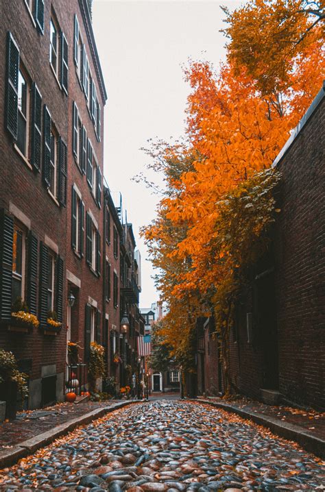 Do These 8 Things in Boston in Fall – Devour Tours