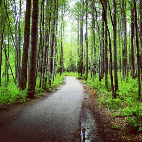 Centennial park in Columbia, Md. | Pretty places, Places to go ...