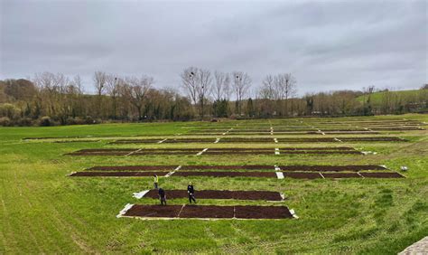 Roots Allotments