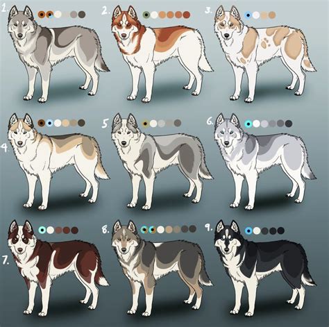 In addition to the splendid variety of coat colors available, Siberian Huskies may also have a ...