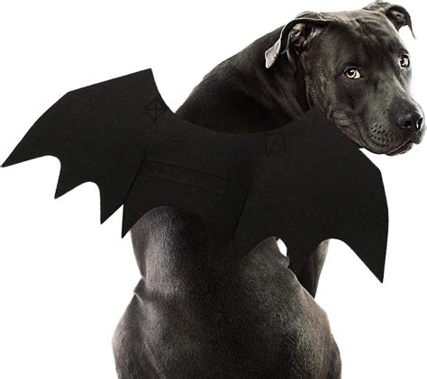 Amazon.com : Rypet Dog Bat Costume - Halloween Pet Costume Bat Wings ...