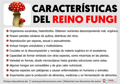 Características del Reino Fungi