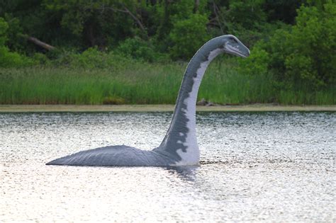 Seeing the Loch Ness Monster!