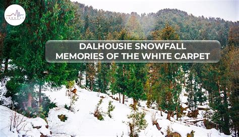 Dalhousie Snowfall: Memories of the White Carpet