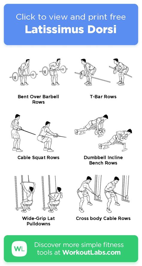 Latissimus Dorsi – click to view and print this illustrated exercise ...