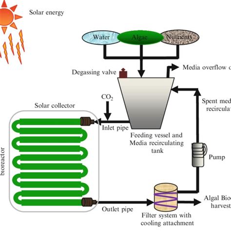 Cyclic representation of biofuel production from algae. | Download ...