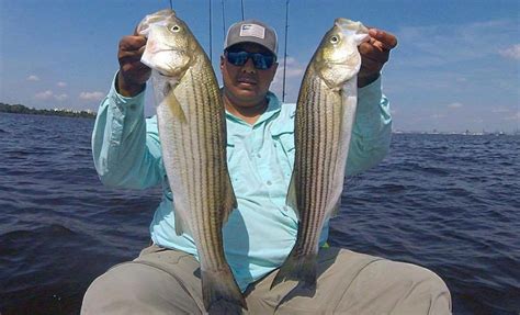 Chesapeake Bay Fishing Report - September 1st, 2017