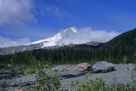 Mount Hood summit stock photo. Image of grand, mountain - 10939482