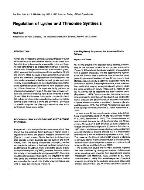 (PDF) Regulation of Lysine and Threonine Synthesis - The Plant Cell - DOKUMEN.TIPS