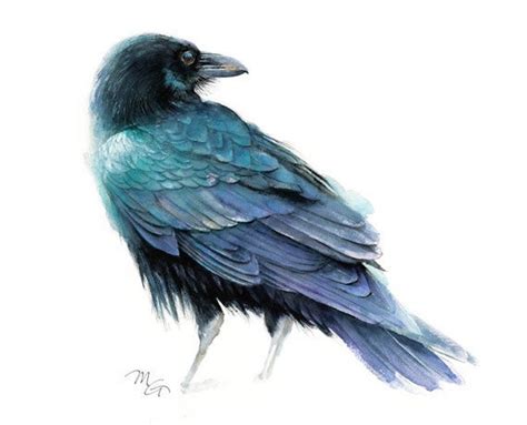 Raven Art Print Watercolor Painting Raven Artwork Crow - Etsy