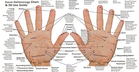 Relieve Body Pain by Pressing These Certain Points on The Palm of Your Hand