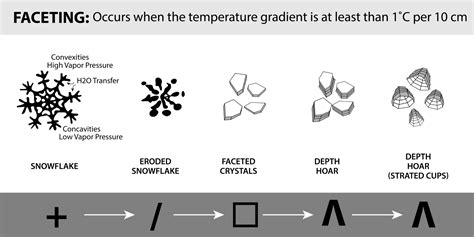 Avalanche.org » Snow metamorphism