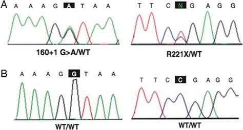 A-B) Electropherogram obtained by Sanger DNA sequencing, which shows... | Download Scientific ...