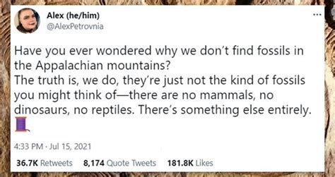 Twitter Thread: The Truth About Fossils In The Appalachian Mountains Goes Viral | Truth, Writer ...