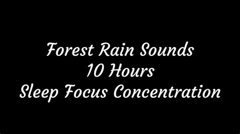 Forest Rain Sounds [10 Hours] - YouTube