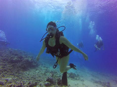 Hawaii Scuba Diving - 11-06-2016