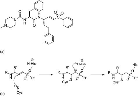 Vinyl sulfone building blocks in covalently reversible reactions with thiols - New Journal of ...