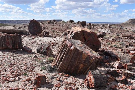 Petrified Forest National Park for Families | Petrified forest national park, National parks ...