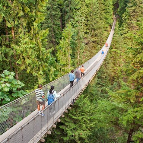 Tour Vancouver Lookout Capilano Bridge Tickets | Tiqets