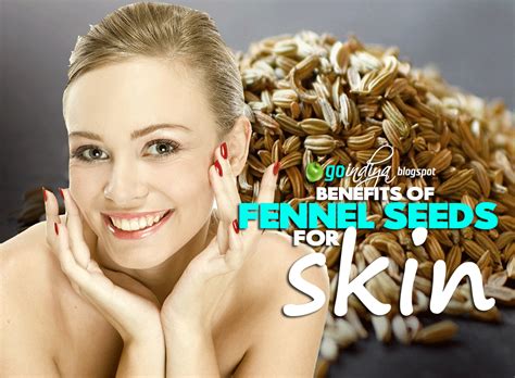 Perfect Skin Care for you - Fennel Seeds. Benefits of Fennel Seeds for Skin - Natural Home ...