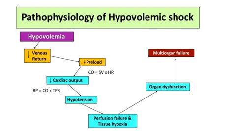 Case Summary – Hypovolemic Shock & the Role of Early Volume Resuscitation | LifeFlow