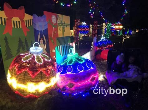 10 BEST Things to Do at Oregon Garden Lights