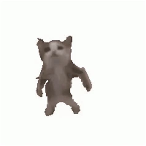 Cat Dancing GIF - Cat Dancing Gangnam Style