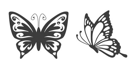 Butterfly Vector Graphics