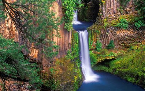 waterfall | Oregon waterfalls, Beautiful waterfalls, Waterfall