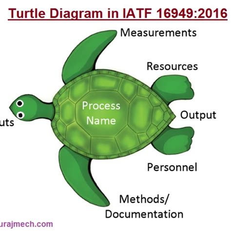 Turtle Diagram Template - Printable Word Searches