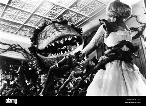 LITTLE SHOP OF HORRORS, from left: Audrey II, Ellen Greene, 1986 ...