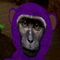 Monkeys Realm - VR