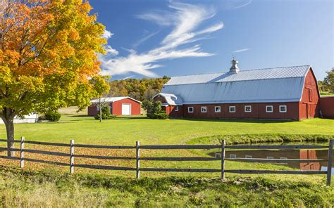 A Farm Museum's Memes Are Going Viral. Yes, a Farm Museum | TIME