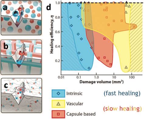 Demonstration of self-healing materials with a capsule-based, b ...