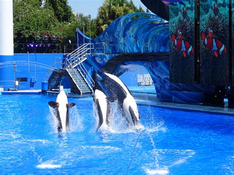 One Ocean at SeaWorld Orlando - ZooChat