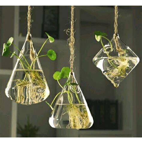 Hanging Glass Vase Hanging Terrarium Hydroponic Plant Flower Clear Container Indoor Hanging Vase ...