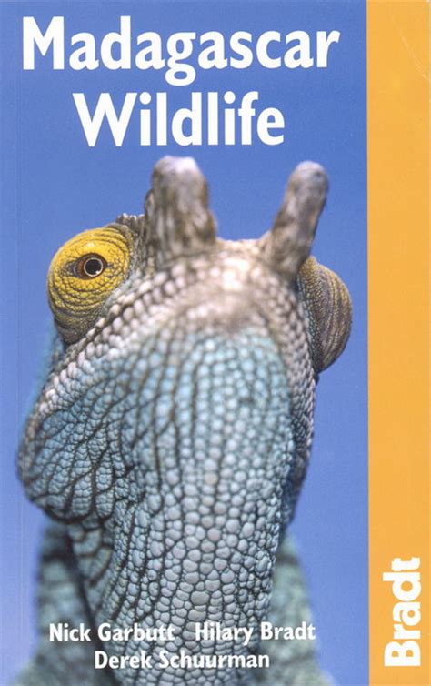 Madagascar Wildlife: A Visitor's Guide 1841622451 9781841622453 - Madagascar Library