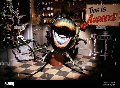 AUDREY II, LITTLE SHOP OF HORRORS, 1986 Stock Photo - Alamy