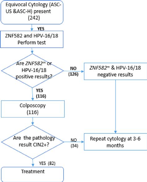 The recommended management of abnormal cervical cytology (Pap smear): a ...