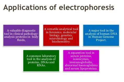 Applications of Electrophoresis