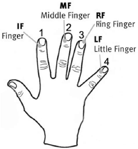 Digit-to-finger correspondence for the Finger Tapping Sequence task... | Download Scientific Diagram