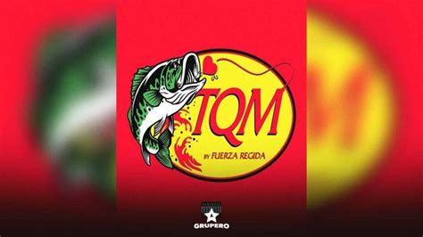 Letra “TQM” – Fuerza Regida En SAPS Grupero