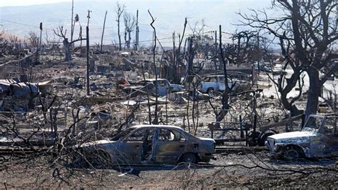 Hawaii wildfires: Governor warns dozens more could be dead | World News | Sky News