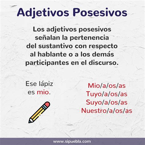 Adjetivos Posesivos | Palabras de ortografía, Palabras de vocabulario ...