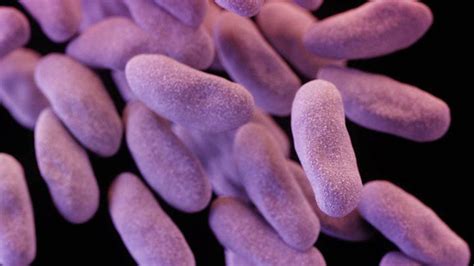 First Case of ‘Nightmare’ Drug-Resistant Bacteria CRE Diagnosed in U.S ...