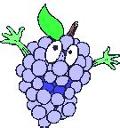 Grapes: Animated Images, Gifs, Pictures & Animations - 100% FREE!