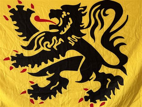 Flemish Lion Flag I have, don’t remember where I got it. Not a match with official flag afaik ...