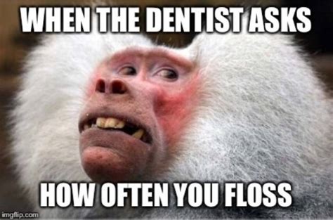 Are You Afraid Of These Dentist Memes? (36 PICS) - Izismile.com