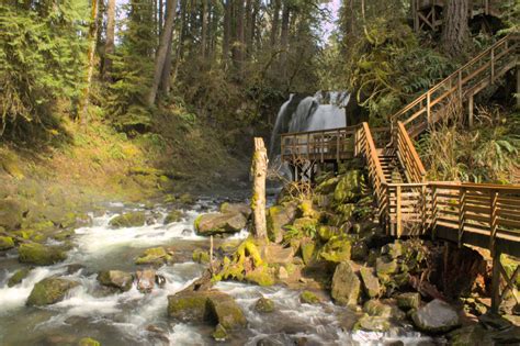 Hike to the Extraordinary Waterfalls of McDowell Creek Falls County Park — Pines and Vines