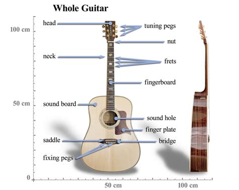 GUITAR FRETS AND TAB - LAS Guitar & Piano